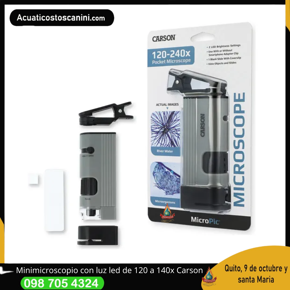 120x -240x LED Pocket Microscope 