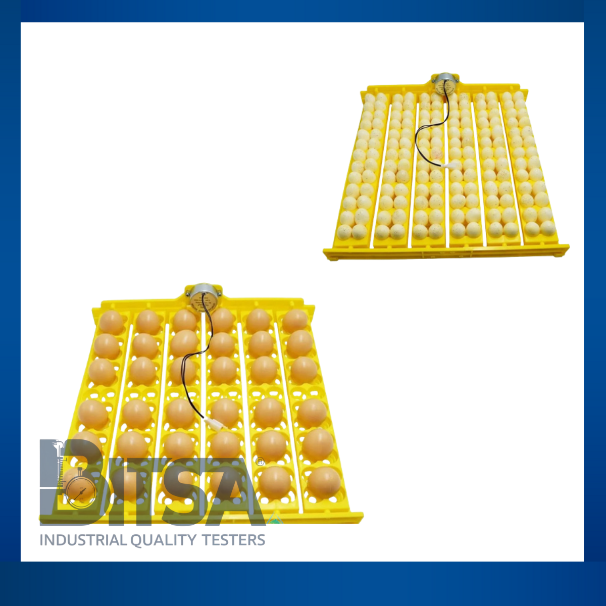 Bandeja De 36 Huevos A 110V Incubadoras Pollos Aves 